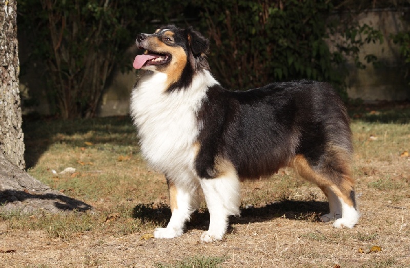 Jolie princesse des vergers de la combe